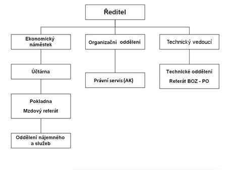 organizace